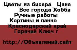 Цветы из бисера › Цена ­ 500 - Все города Хобби. Ручные работы » Картины и панно   . Краснодарский край,Горячий Ключ г.